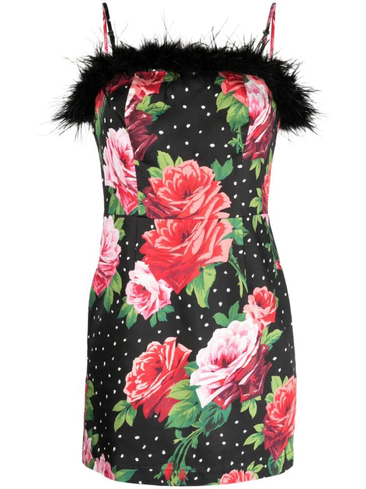 Kitri Nola rose-print feather-trim minidress - Black Cover