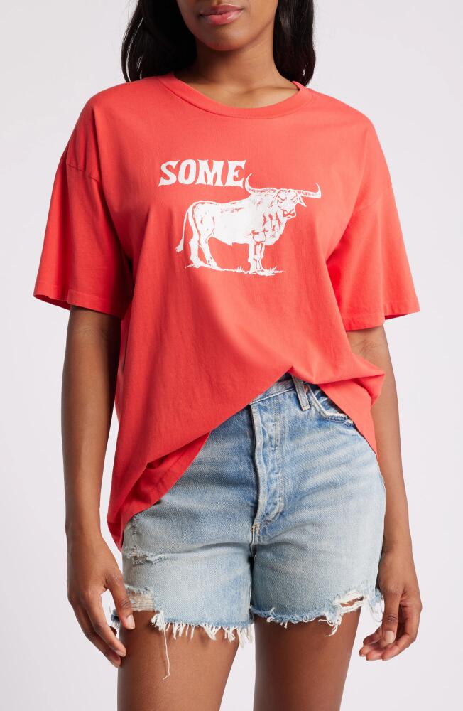 Daydreamer Some Bull Jersey Graphic T-Shirt in Vintage Red Cover