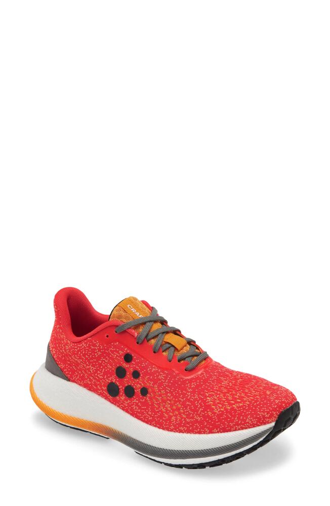 Craft Pacer Running Shoe in Crush Cover