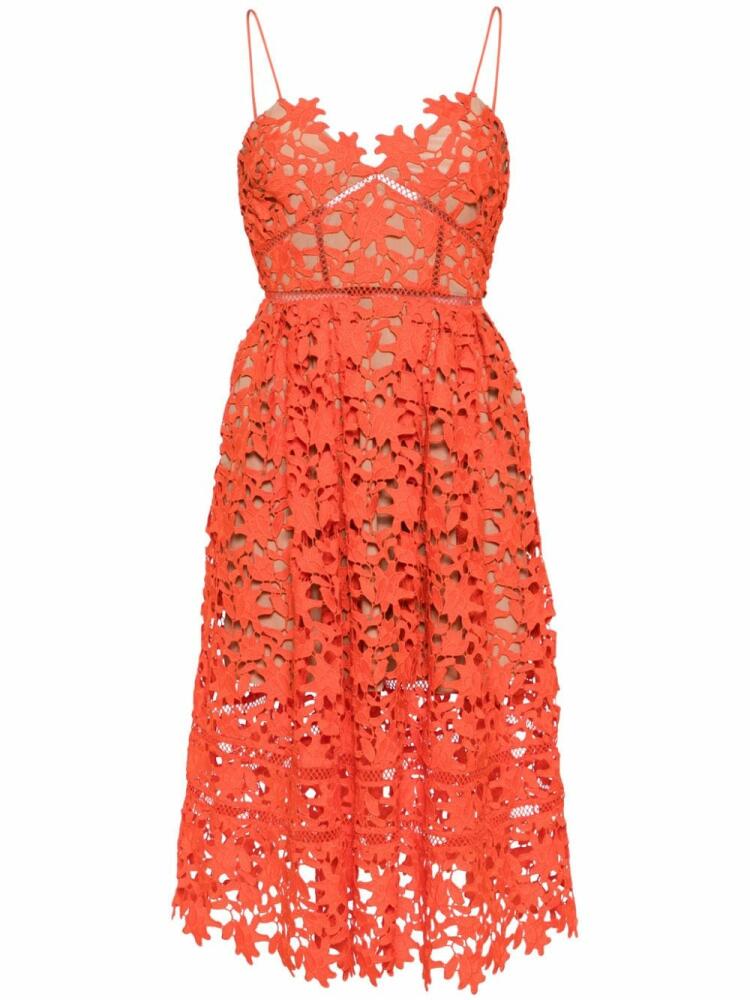 Self-Portrait Azaelea floral-lace midi dress - Orange Cover