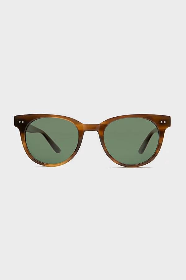 Sunglass Museum Darcy Round Polarized Sunglasses in Mocha/Green Cover