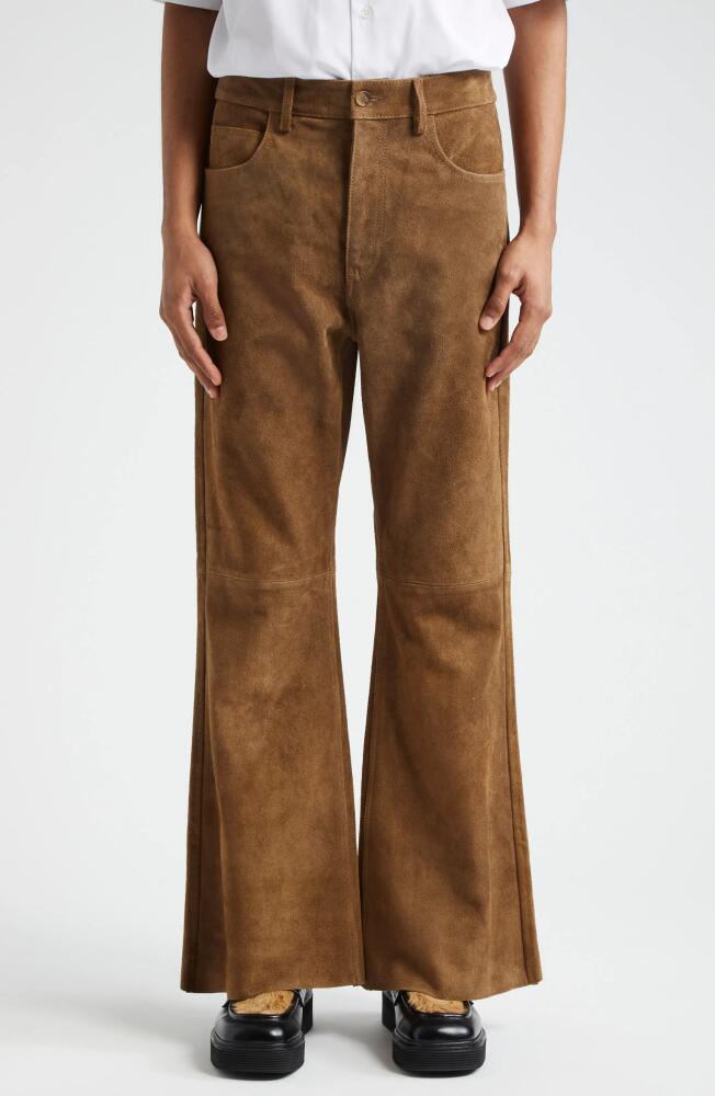 Marni Suede Flare Leg Pants in Creta Cover