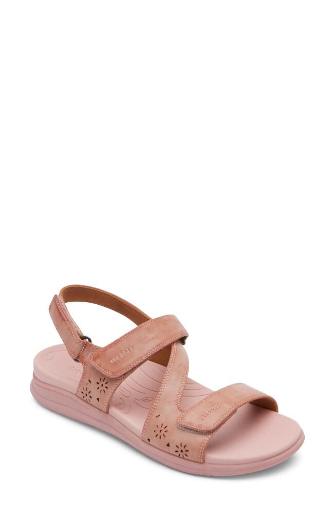 Rockport Cobb Hill Tala Sandal in Pink Cover