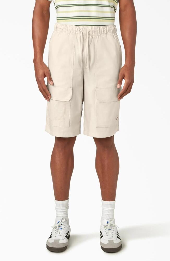 Dickies Fisherville Drawstring Cargo Shorts in Stone Whitecap Grey Cover