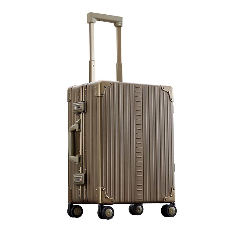 Aleon 21 Aluminum Carry On Spinner Suitcase Cover