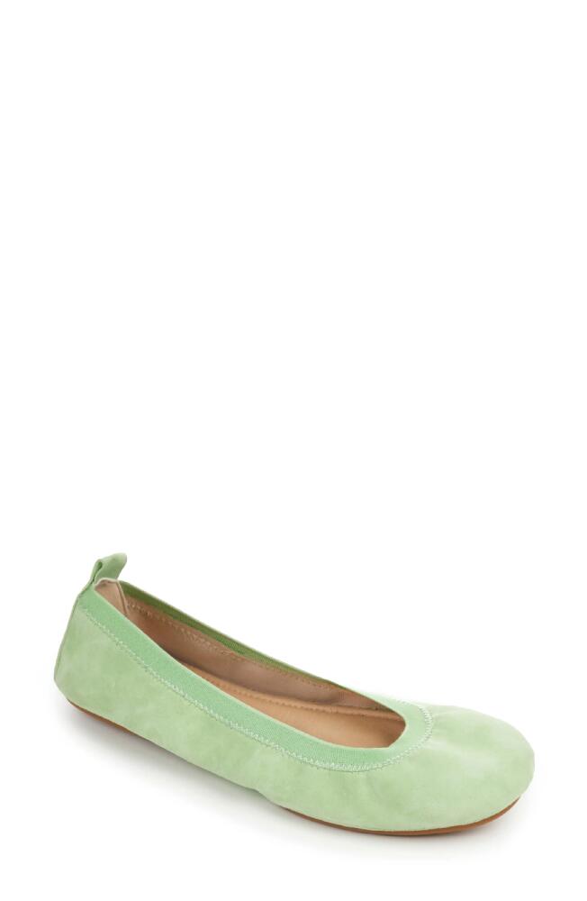 Yosi Samra Samara Ballet Flat in Cool Matcha Suede Cover