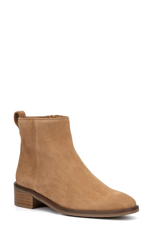 Aquatalia Carisa Bootie in Whiskey Cover