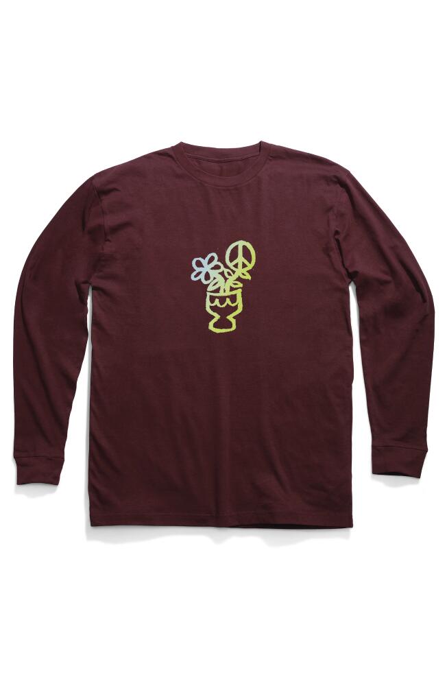 Stance Scribbles Long Sleeve Cotton Graphic T-Shirt in Wine Cover