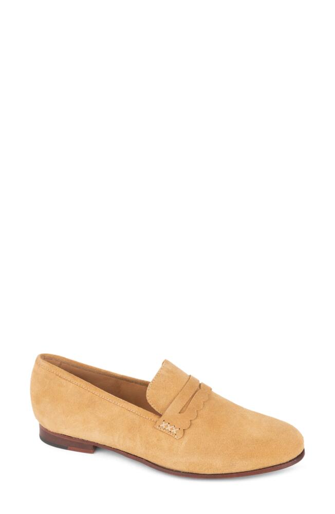 patricia green Blair Penny Loafer in Tan Cover