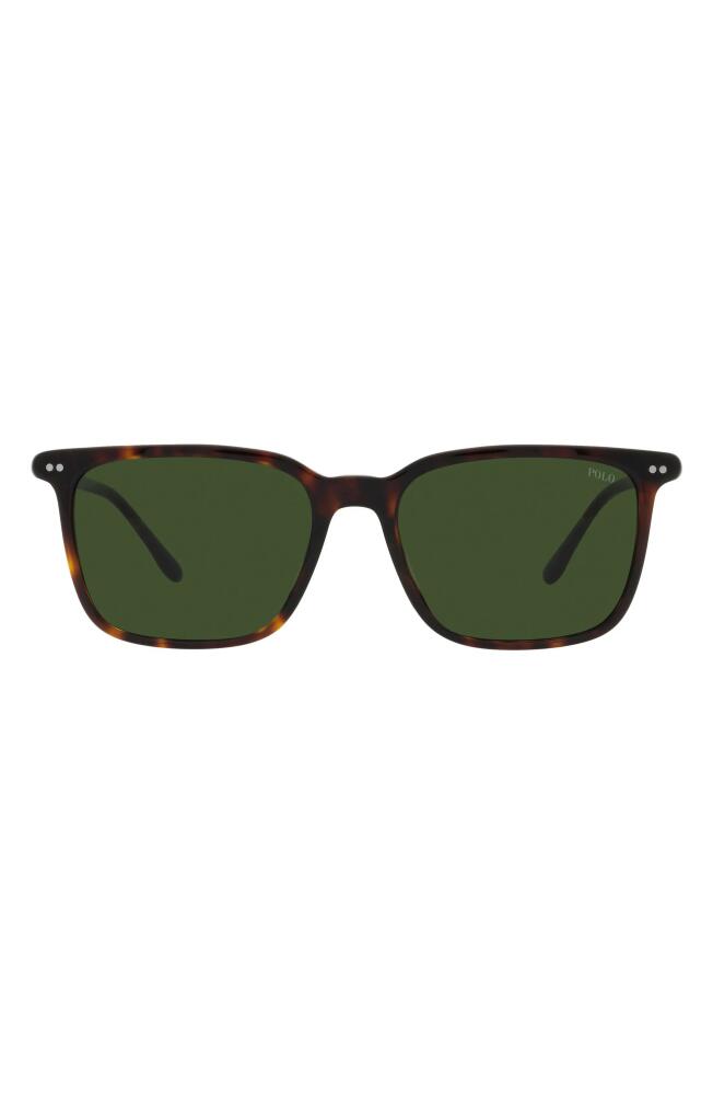 Polo Ralph Lauren 56mm Square Sunglasses in Shiny Havana Cover