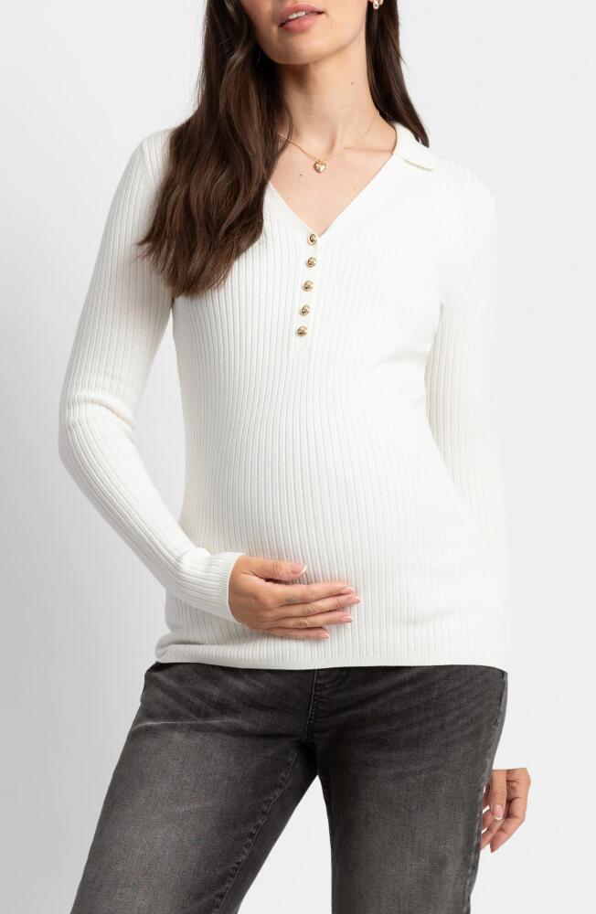 Seraphine Rib Maternity/Nursing Shirt in Ecru Cover