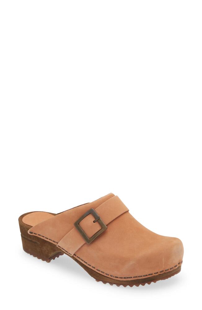 Sanita Platform Clog in Salmon Cover