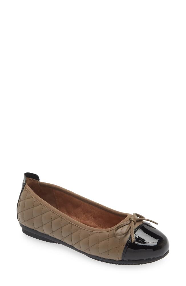 Josef Seibel Pippa Ballet Flat in Taupe Cover