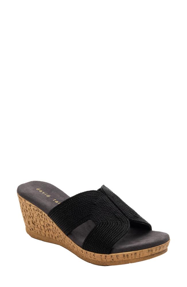 David Tate Vibe Wedge Slide Sandal in Black Cover