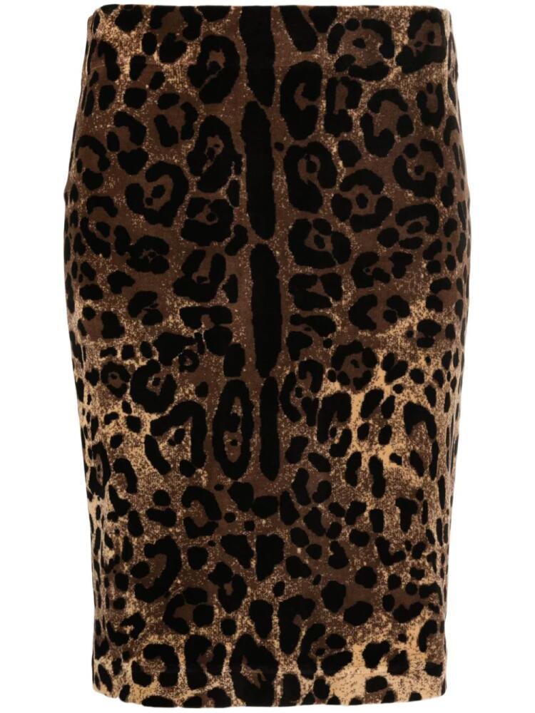 Dolce & Gabbana leopard-print pencil skirt - Brown Cover