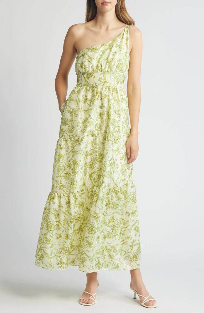 Hutch Braylan Floral One-Shoulder Maxi Dress in Ivory Delicate Garden Cover