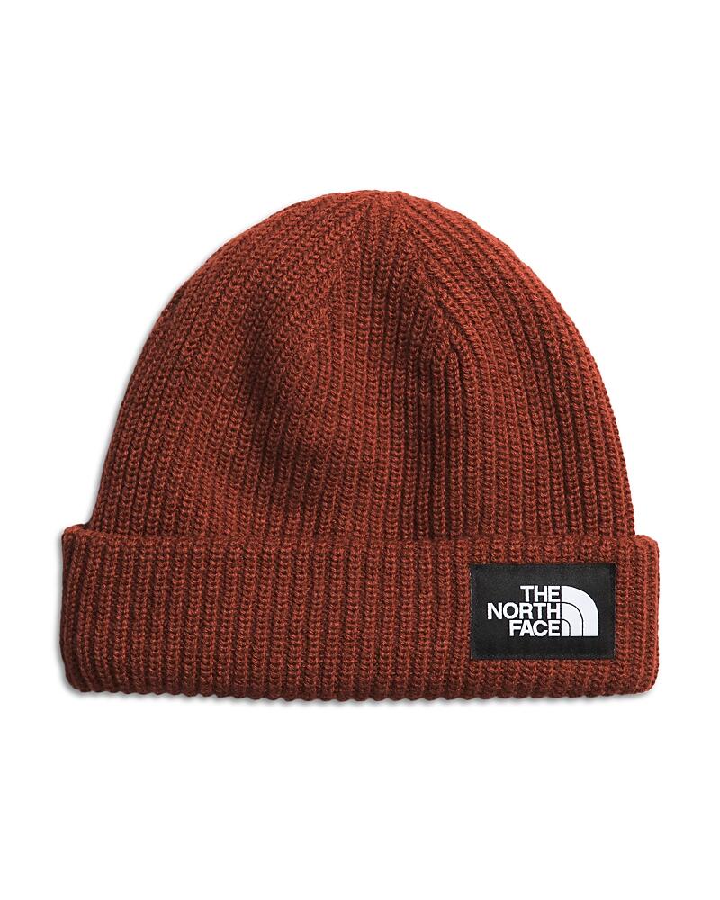 The North Face Salty Lined Beanie Cover