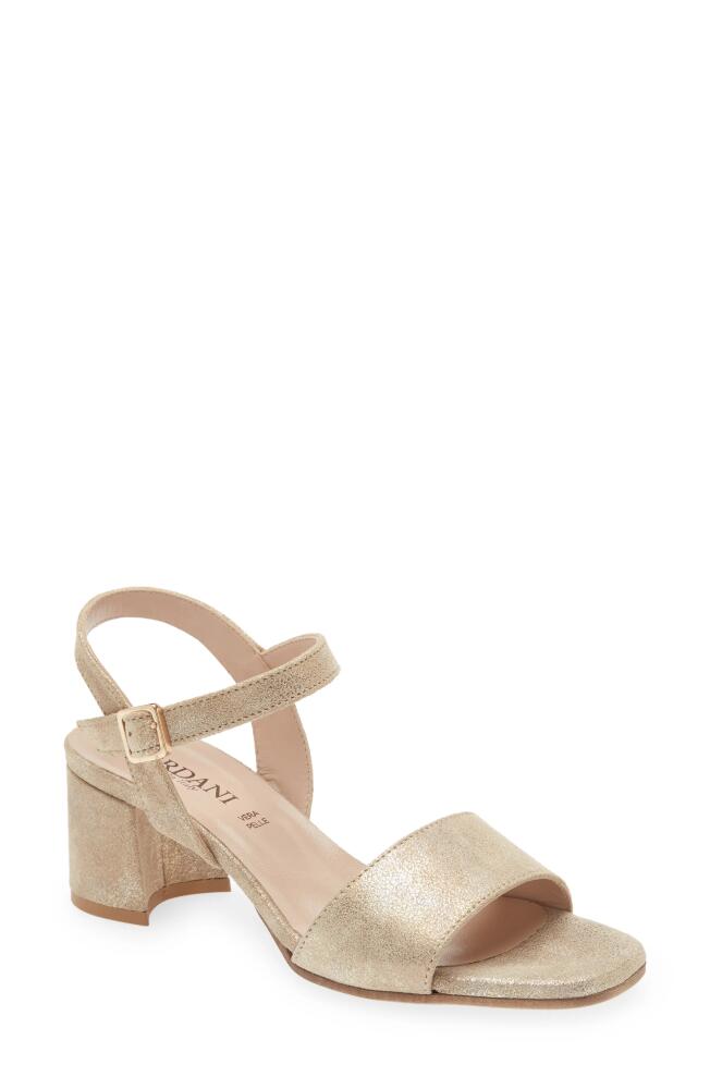 Cordani Irisse Block Heel Sandal in Dusty Gold Cover