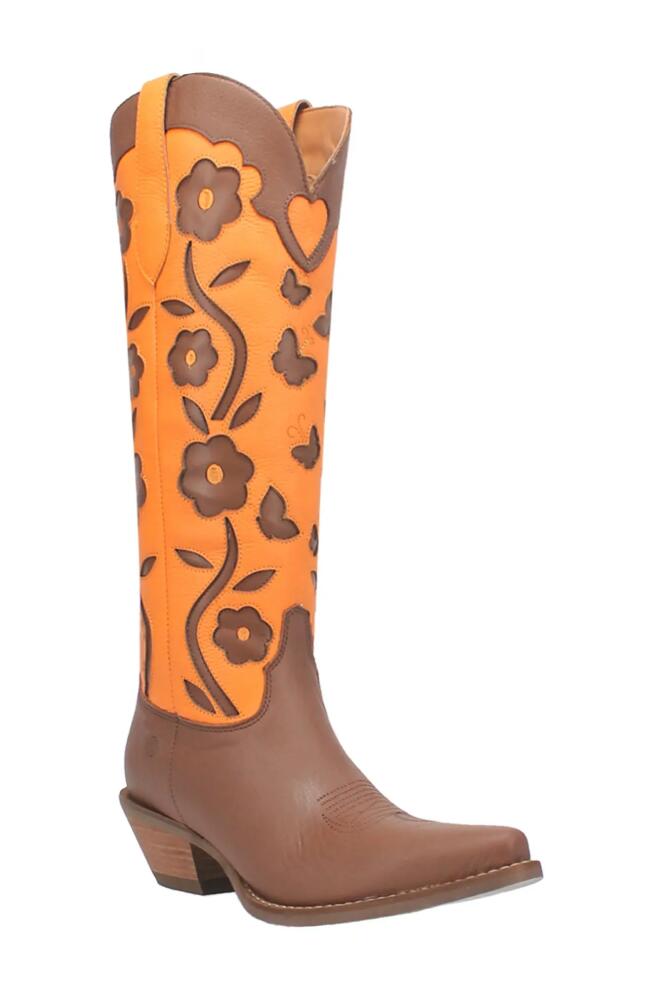 Dingo Goodness Gracious Western Boot in Brown/Orange Cover