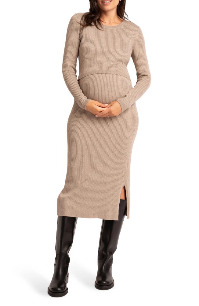 Seraphine Layered Rib Long Sleeve Maternity/Nursing Sweater Dress in Taupe Cover