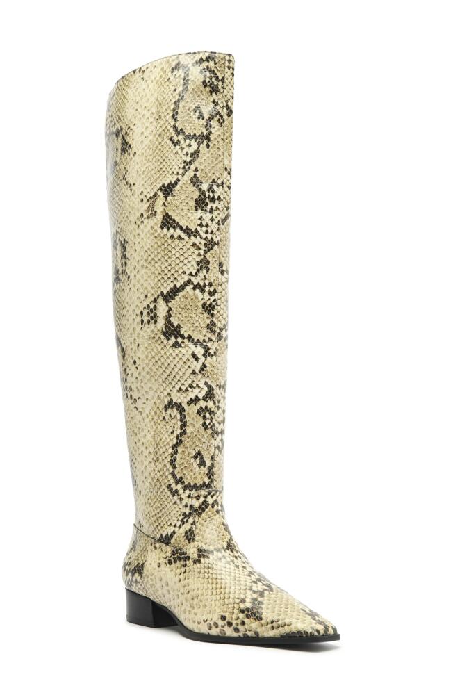 Schutz Helena Over the Knee Boot in Animal Print Cover