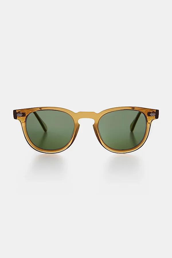 Sunglass Museum Benson Polarized Sunglasses in Amber/Green Cover