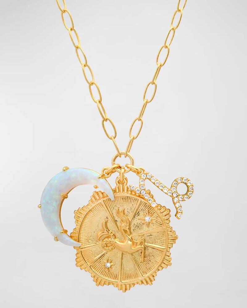 Tai New Zodiac Charm Necklace Cover