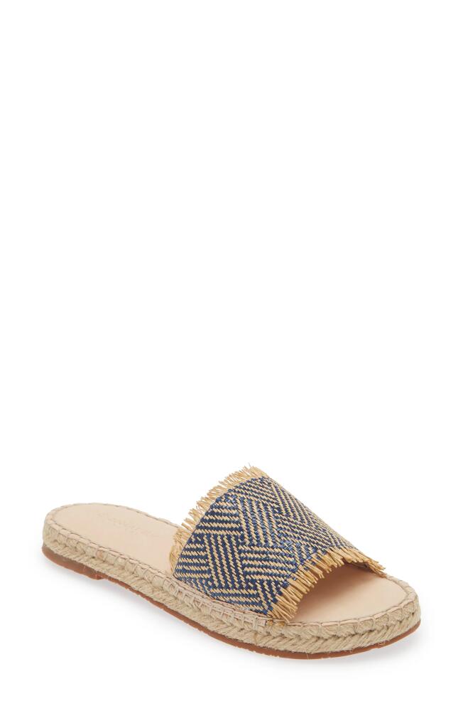 Chocolat Blu Evana Raffia Slide Sandal in Blue Combo Raffia Cover