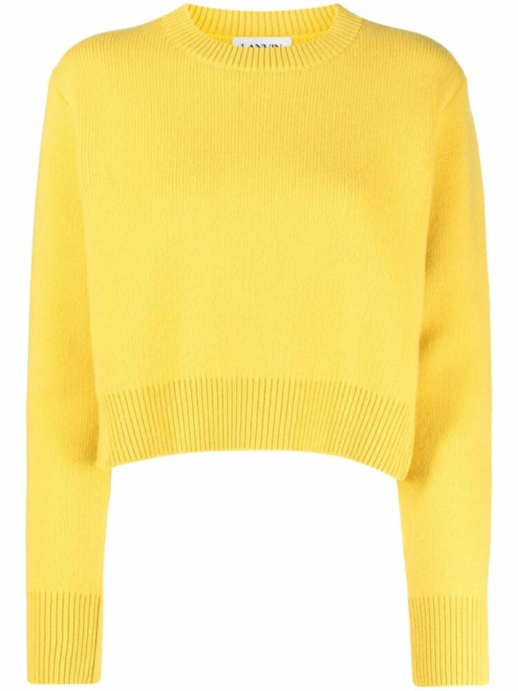 Lanvin cashmere-wool blend jumper - Yellow Cover