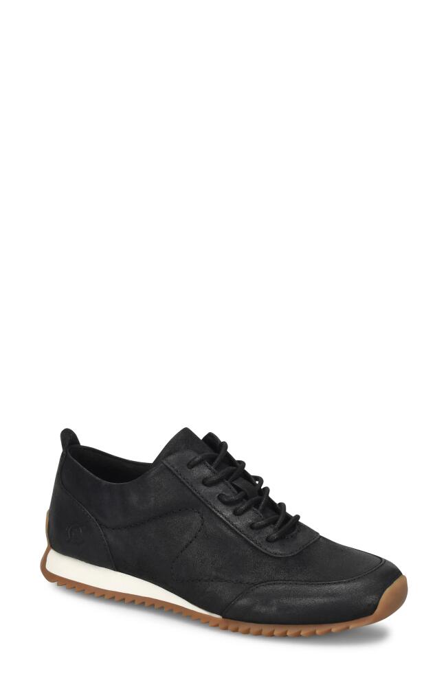 Børn Lynn Sneaker in Black Distressed Cover