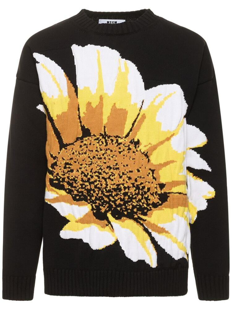 MSGM Daisy Intarsia Cotton Knit Sweater Cover