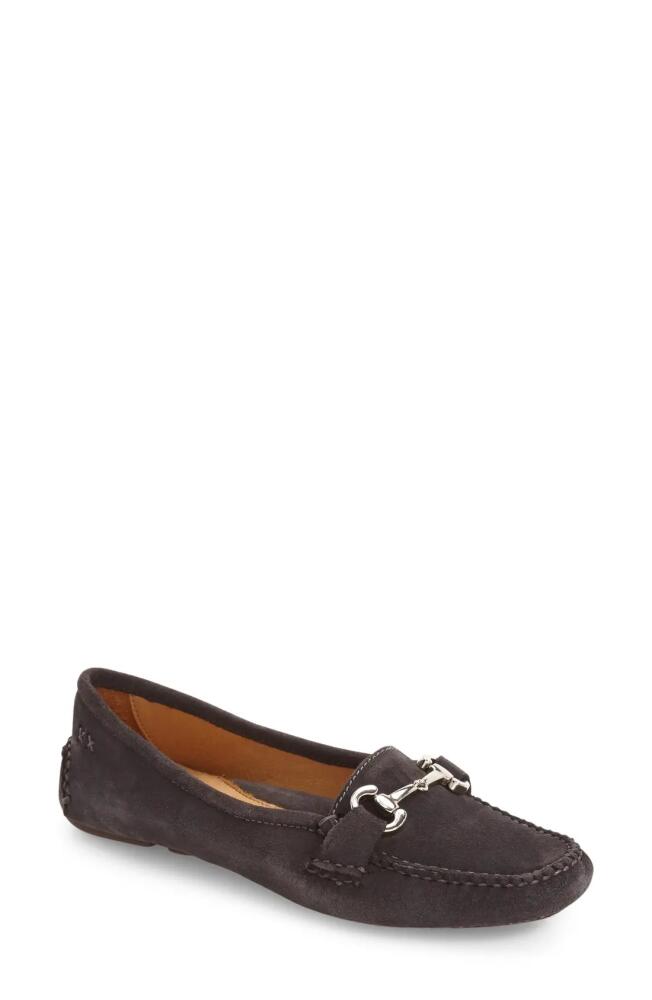 patricia green 'Carrie' Loafer in Charcoal Suede Cover