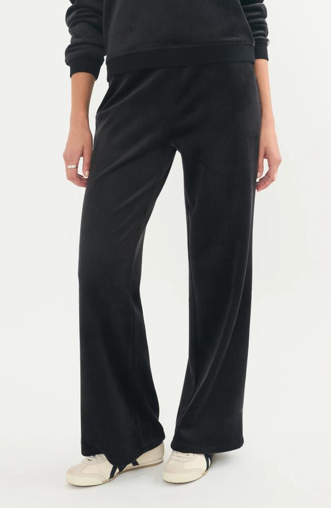 Marine Layer Corduroy Velour Flare Pants in Black Cover