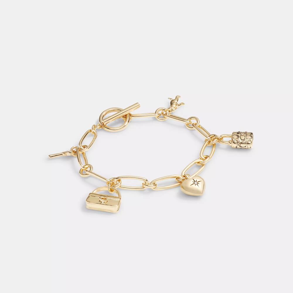 Coach Iconic Charm Chain Bracelet Cover