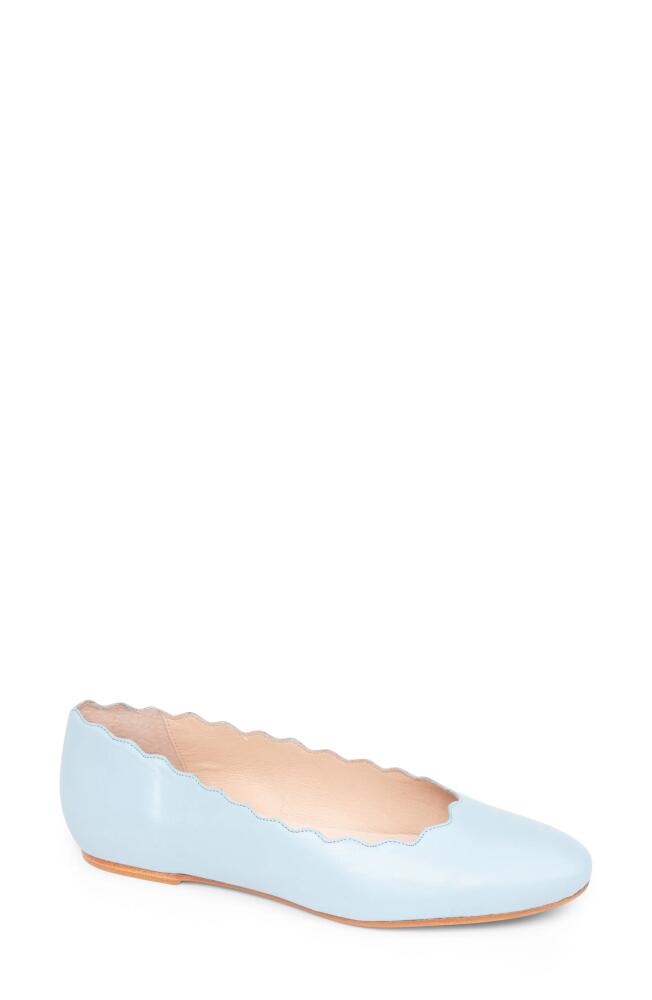 patricia green Palm Beach Scalloped Ballet Flat in Sky Blue Cover