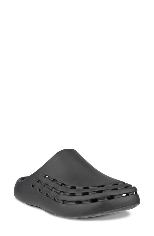 ECCO Cozmo Perforated Mule in Black Cover