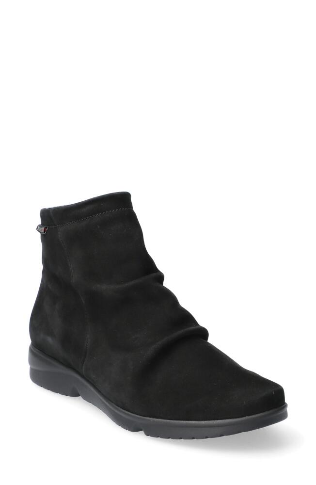 Mephisto Rezia Bootie in Black Bucksoft 6900 Cover