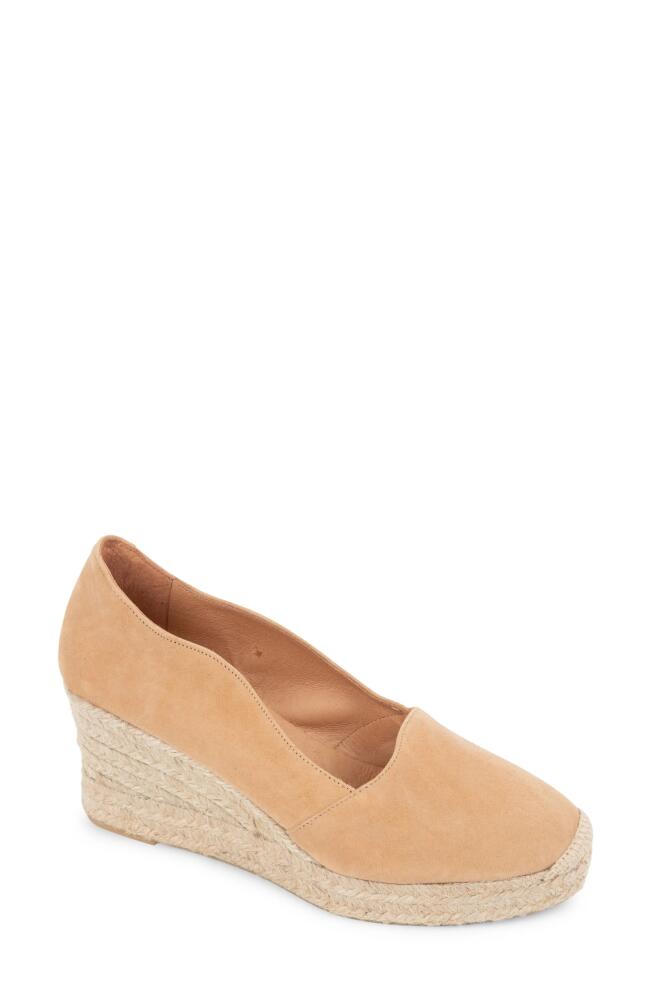 patricia green Vienna Espadrille Wedge in Camel Cover