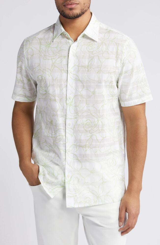 Ted Baker London Cavu Floral Short Sleeve Cotton Button-Up Shirt in White Cover