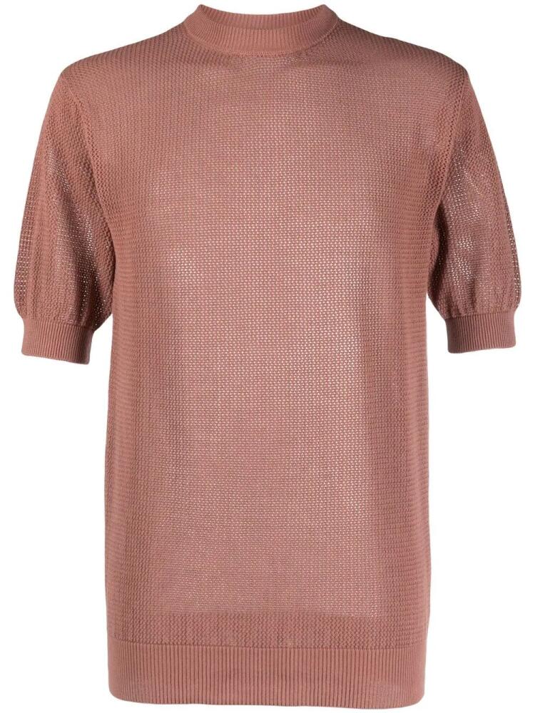 Laneus short-sleeve cotton T-shirt - Brown Cover