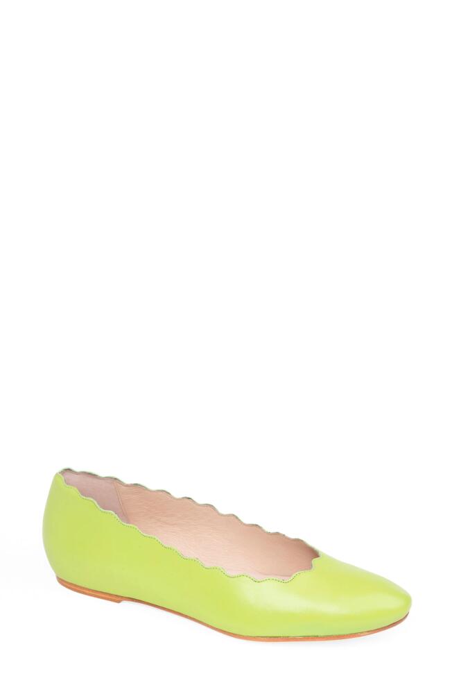 patricia green Palm Beach Scalloped Ballet Flat in Lime Cover