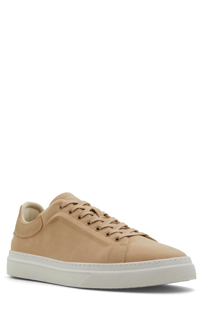 ALDO StepSpec Sneaker in Dark Beige Cover