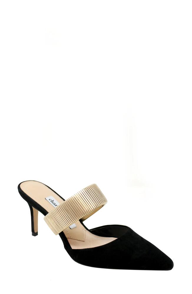 Charles David Alfie Pointed Toe Mule in Black Cover