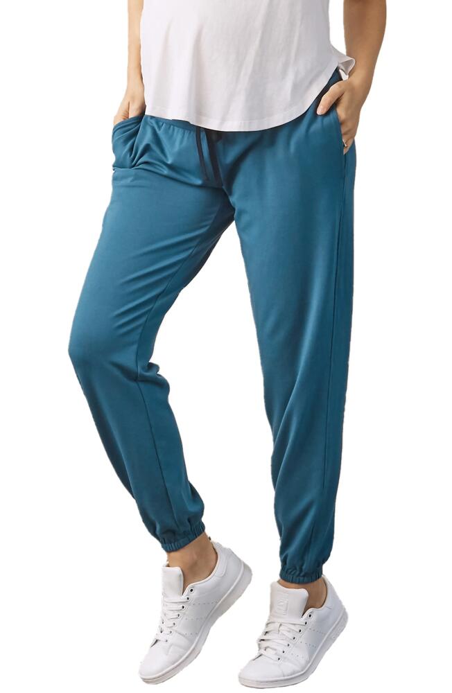 Angel Maternity Cotton & Modal Maternity Joggers in Teal Cover