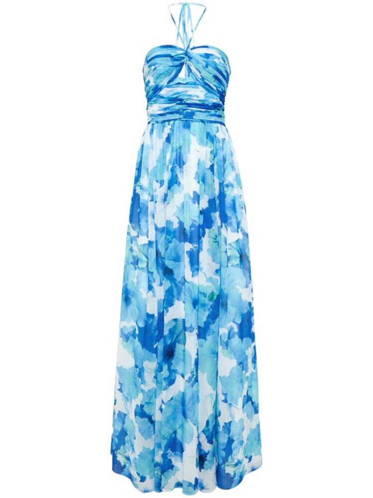 Monique Lhuillier Emilia maxi dress - Blue Cover