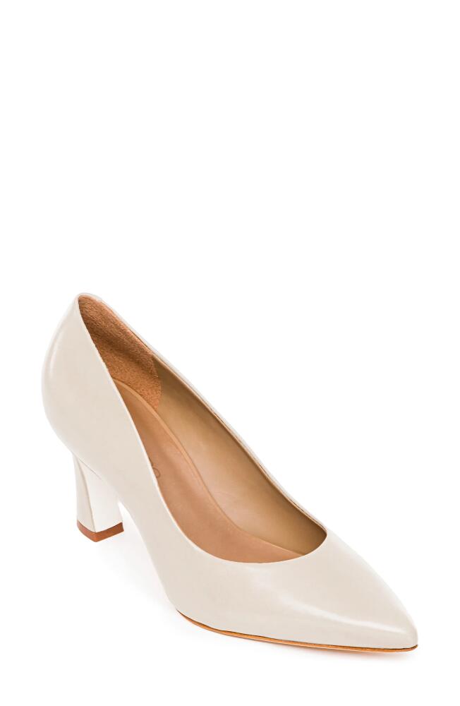 Bernardo Footwear Faryn Pointed Toe Pump in Eggshell Cover