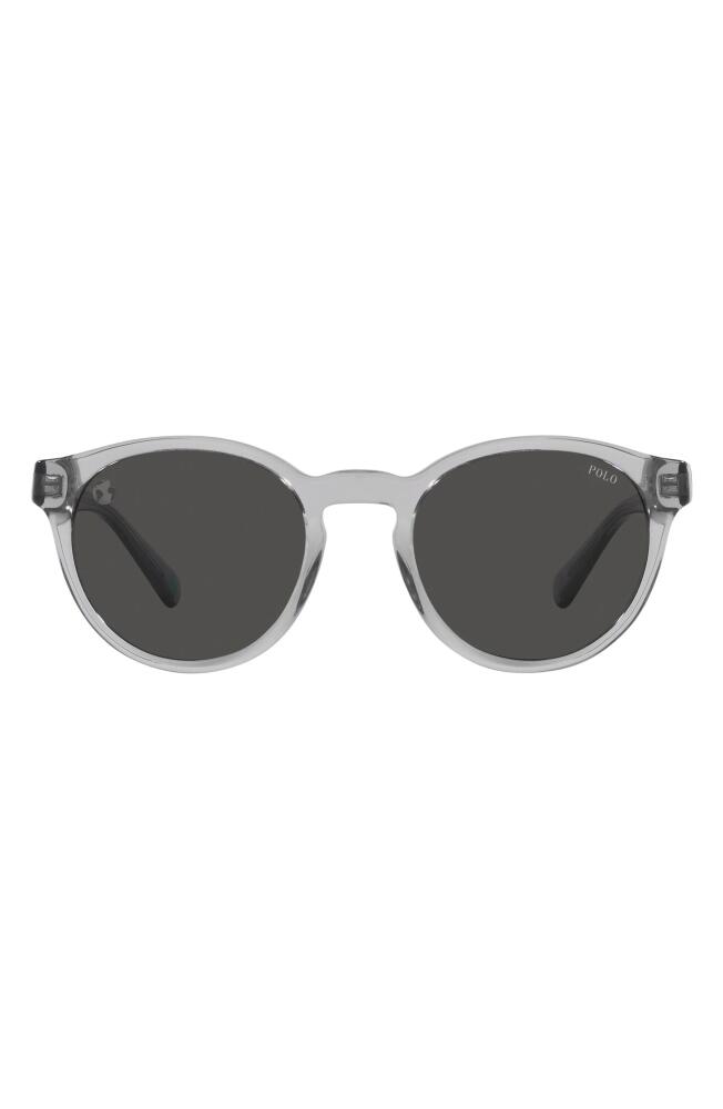 Polo Ralph Lauren 51mm Round Sunglasses in Dark Grey Cover