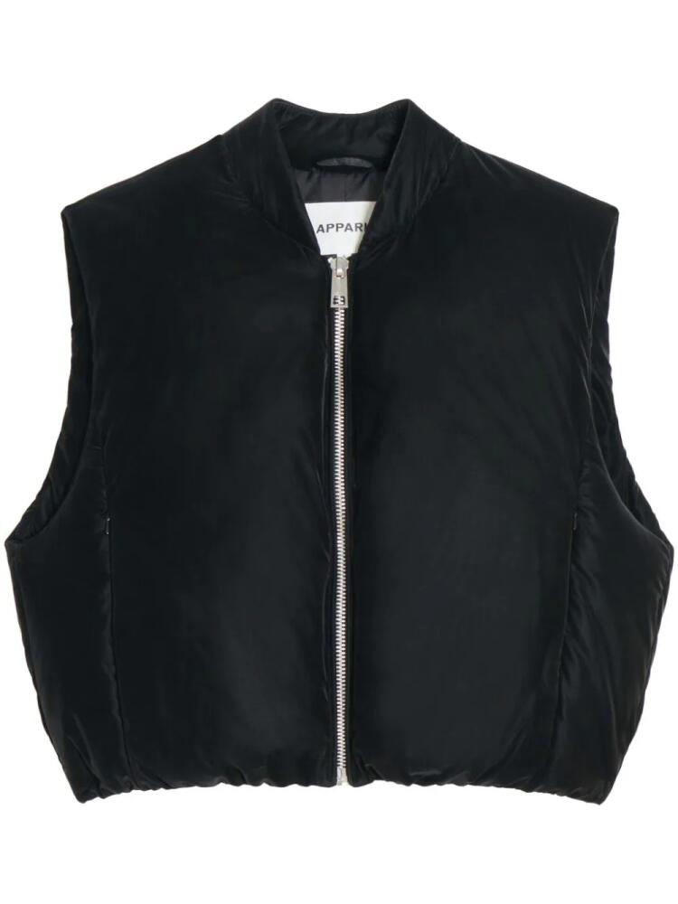 Apparis Phoenix gilet - Black Cover