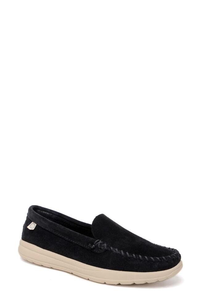 Minnetonka Discover Classic Slip-On Sneaker in Black Cover