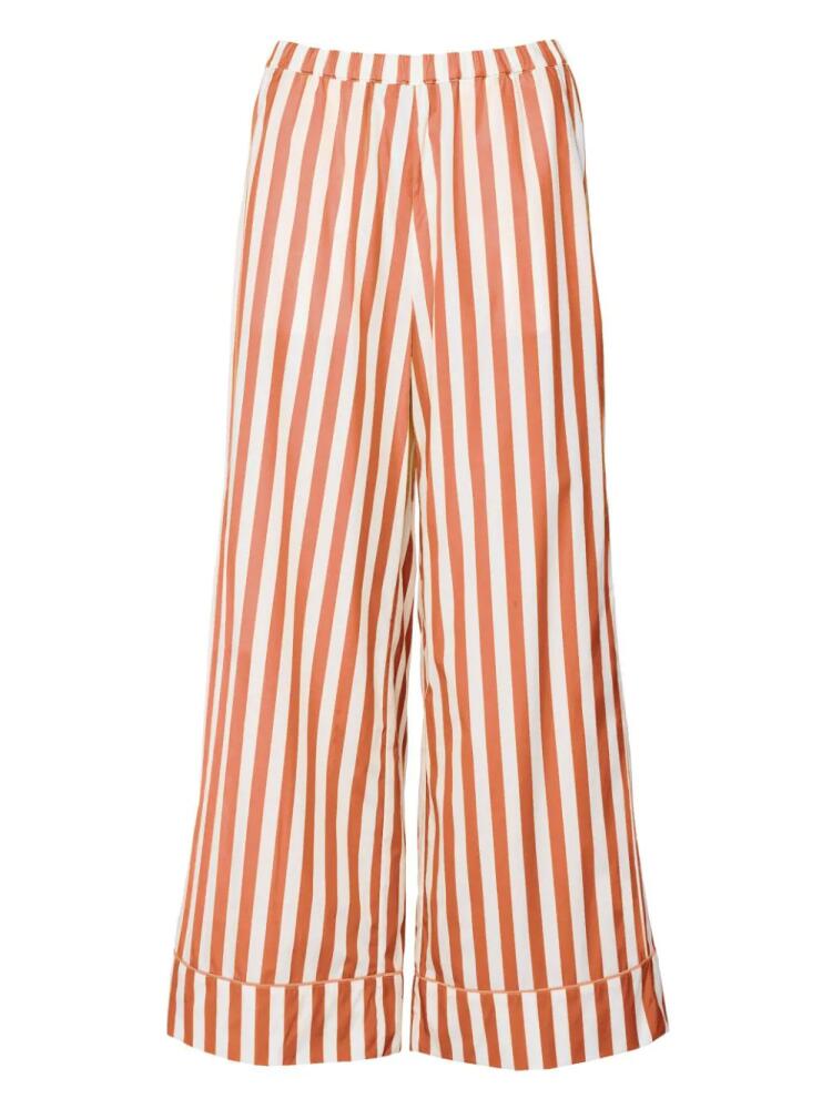 ERES Marmelade stripe-print trousers - Brown Cover